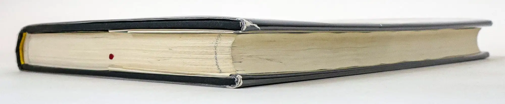 CODEX SERAPHINIANUS